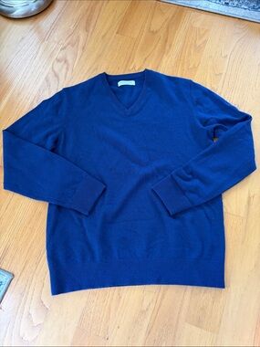 Everlane Men's 100% Cashmere V-Neck Sweater size large blue